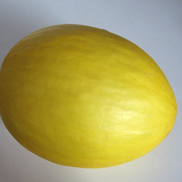 Muskmelon Seed