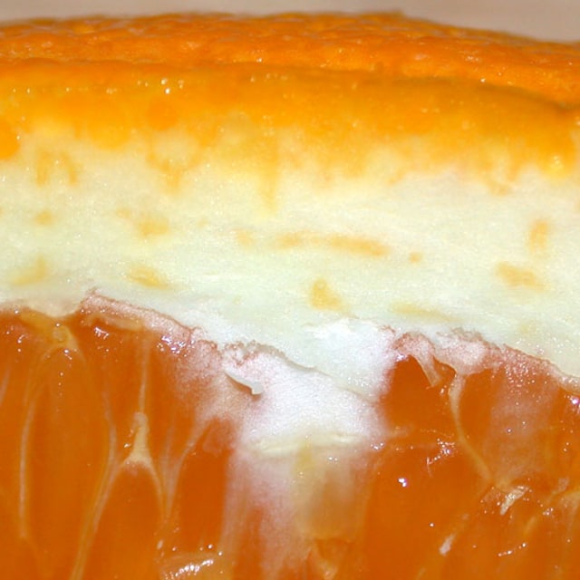 Orange Seed
