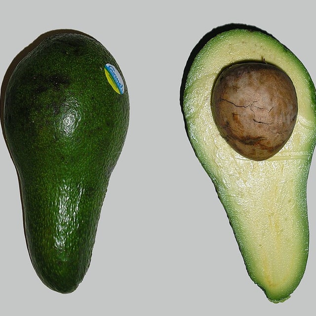Avocado Seed for planting
