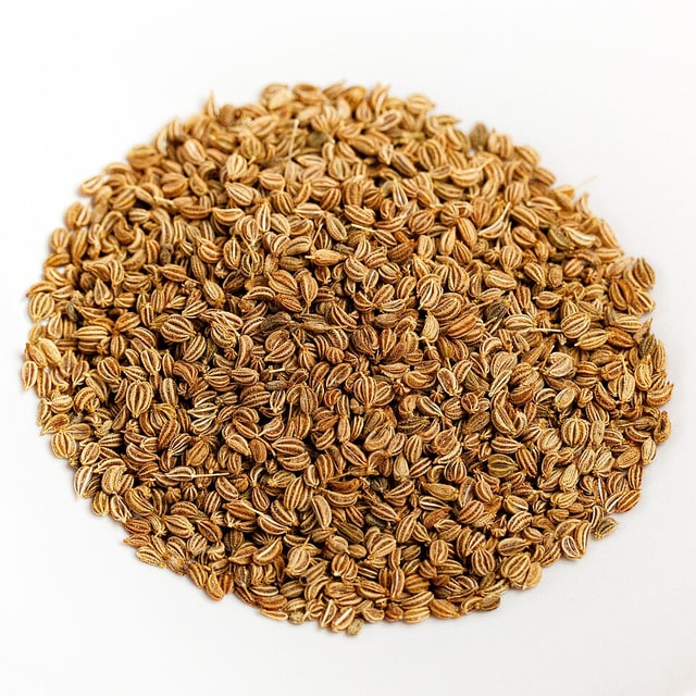 Ajwain Seed for sowing
