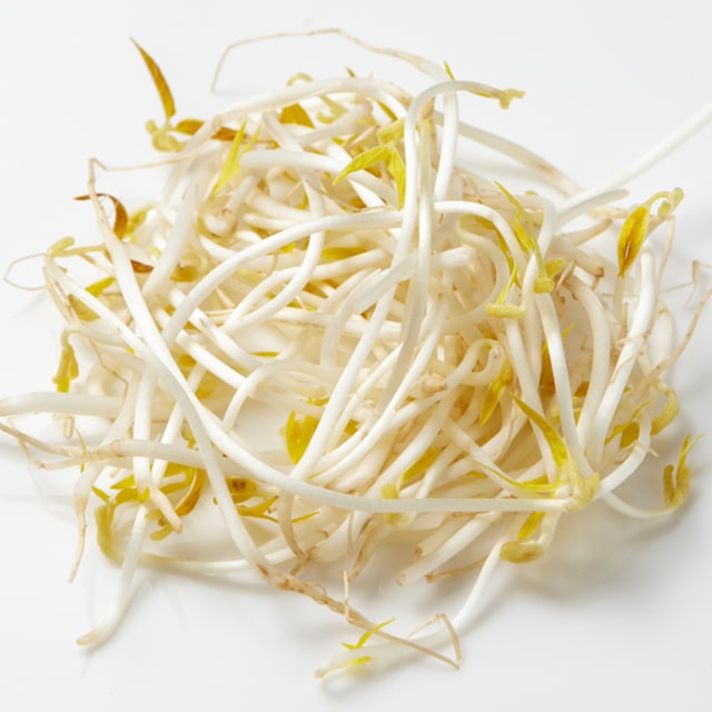 Sprout Seeds for sowing only